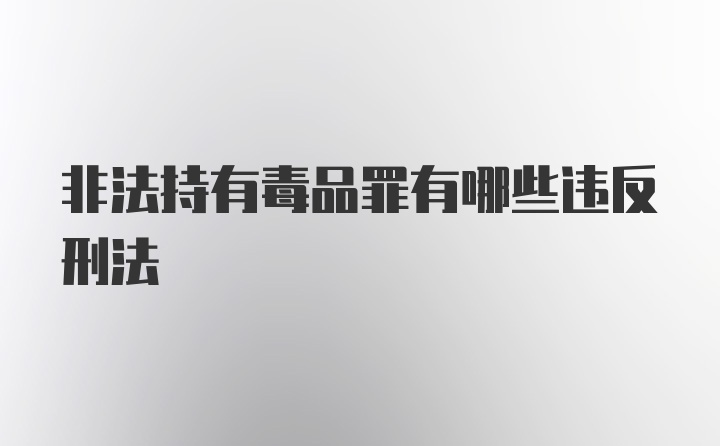 非法持有毒品罪有哪些违反刑法