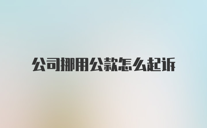 公司挪用公款怎么起诉