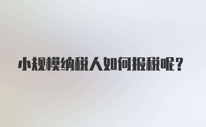 小规模纳税人如何报税呢？