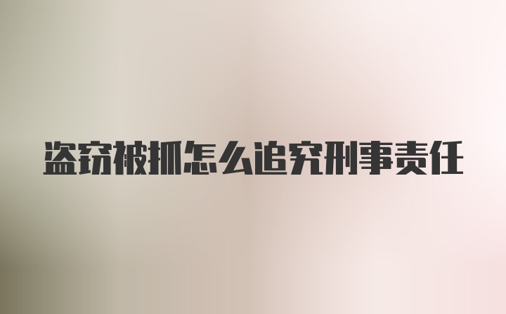 盗窃被抓怎么追究刑事责任