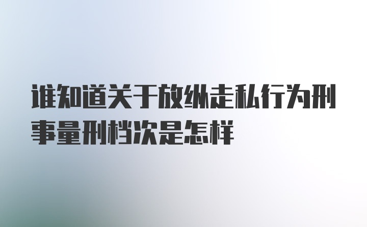 谁知道关于放纵走私行为刑事量刑档次是怎样