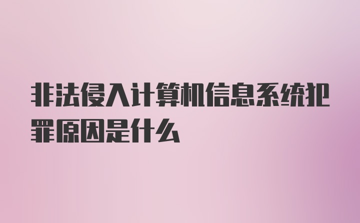 非法侵入计算机信息系统犯罪原因是什么