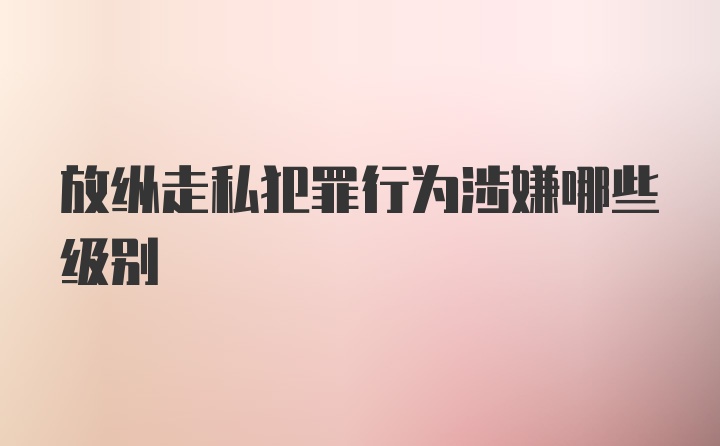 放纵走私犯罪行为涉嫌哪些级别