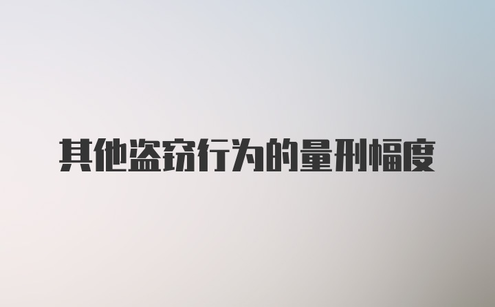 其他盗窃行为的量刑幅度