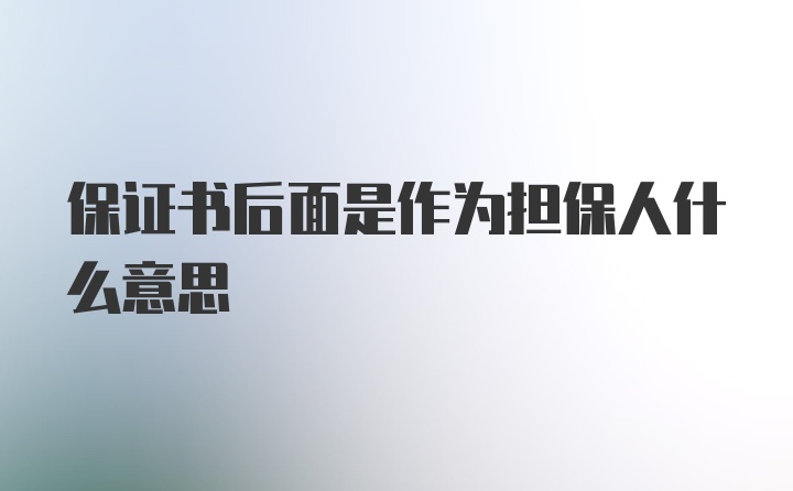 保证书后面是作为担保人什么意思