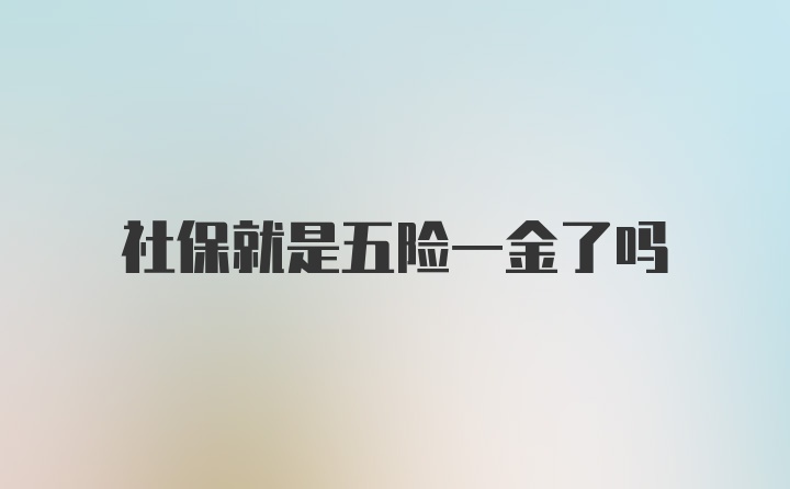 社保就是五险一金了吗