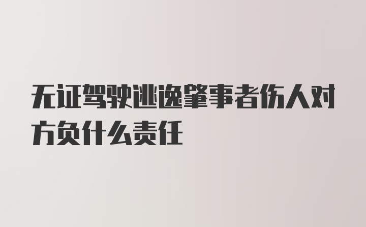 无证驾驶逃逸肇事者伤人对方负什么责任