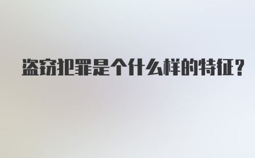 盗窃犯罪是个什么样的特征？