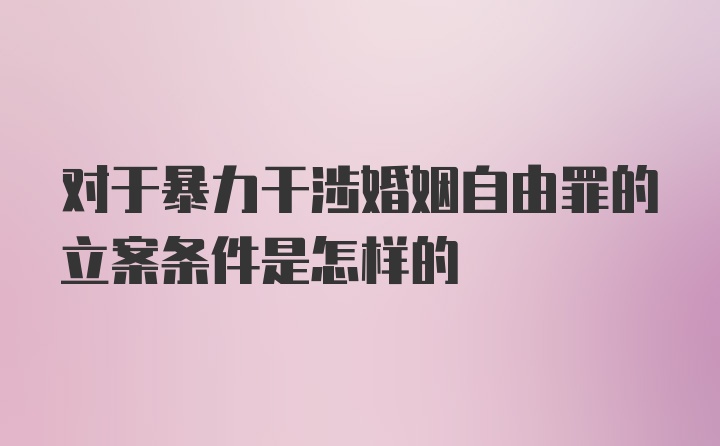 对于暴力干涉婚姻自由罪的立案条件是怎样的