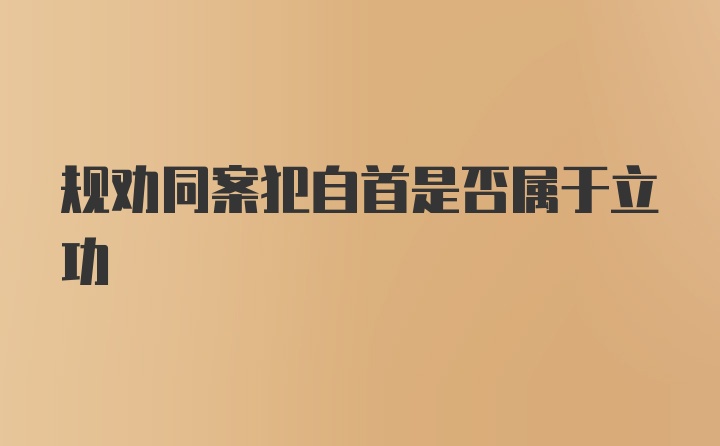 规劝同案犯自首是否属于立功