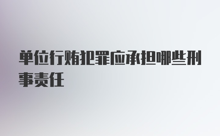 单位行贿犯罪应承担哪些刑事责任