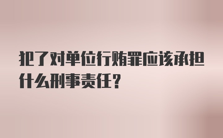 犯了对单位行贿罪应该承担什么刑事责任？