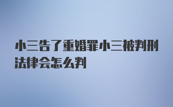 小三告了重婚罪小三被判刑法律会怎么判