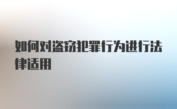 如何对盗窃犯罪行为进行法律适用