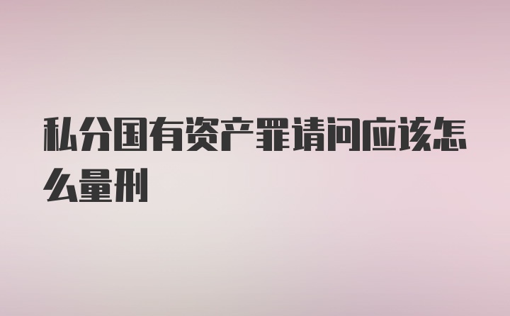 私分国有资产罪请问应该怎么量刑