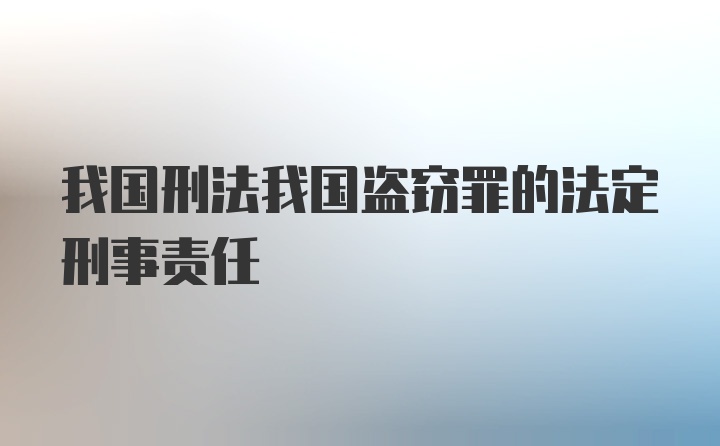 我国刑法我国盗窃罪的法定刑事责任