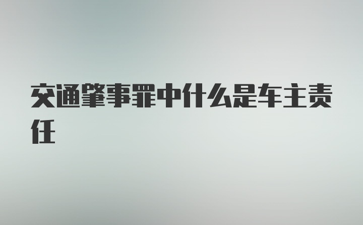 交通肇事罪中什么是车主责任