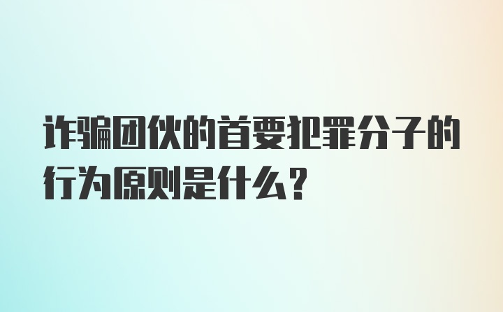 诈骗团伙的首要犯罪分子的行为原则是什么？