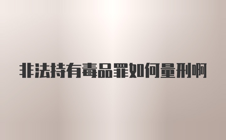 非法持有毒品罪如何量刑啊