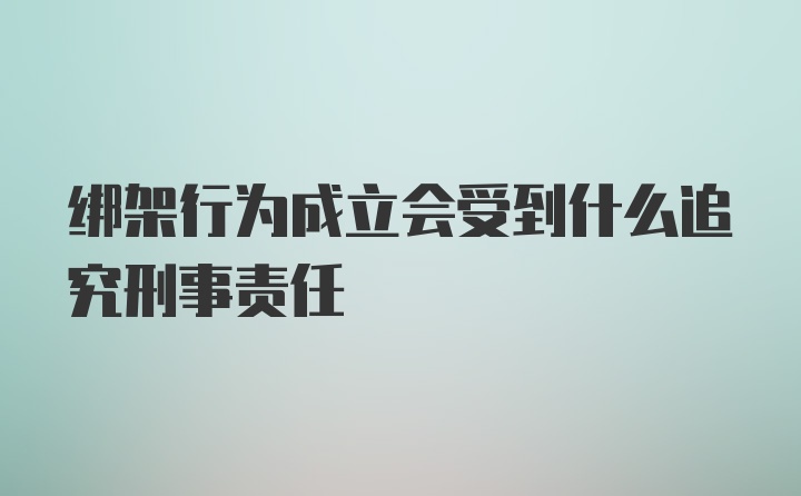 绑架行为成立会受到什么追究刑事责任