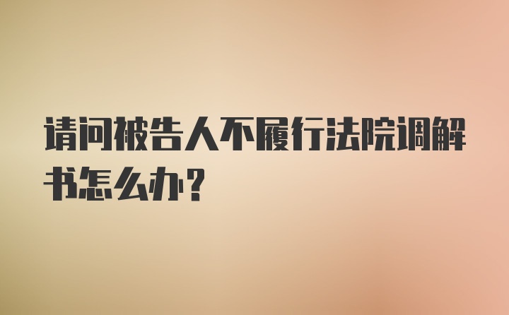 请问被告人不履行法院调解书怎么办？