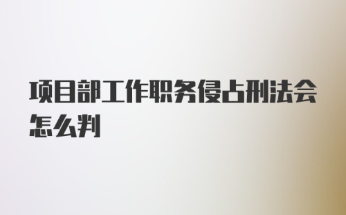 项目部工作职务侵占刑法会怎么判