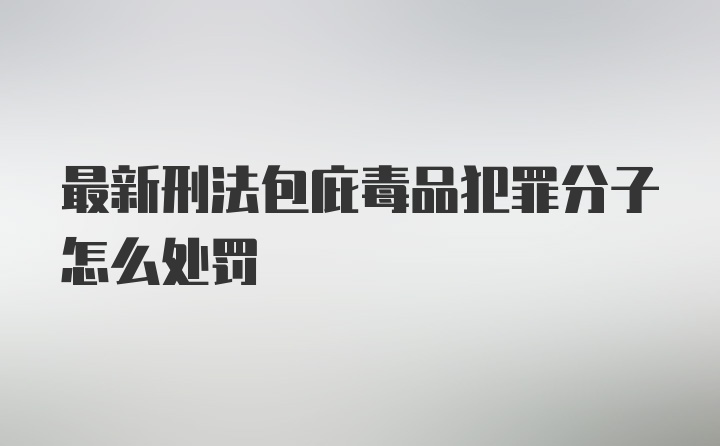 最新刑法包庇毒品犯罪分子怎么处罚