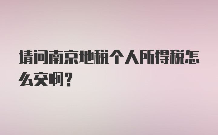 请问南京地税个人所得税怎么交啊？