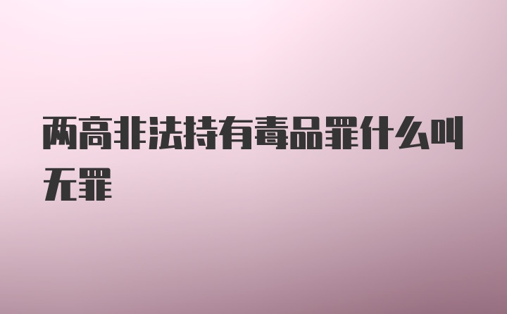 两高非法持有毒品罪什么叫无罪