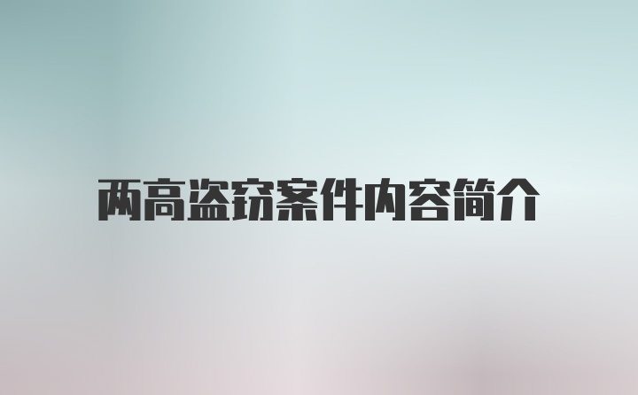 两高盗窃案件内容简介