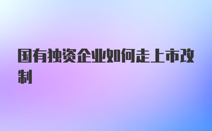 国有独资企业如何走上市改制