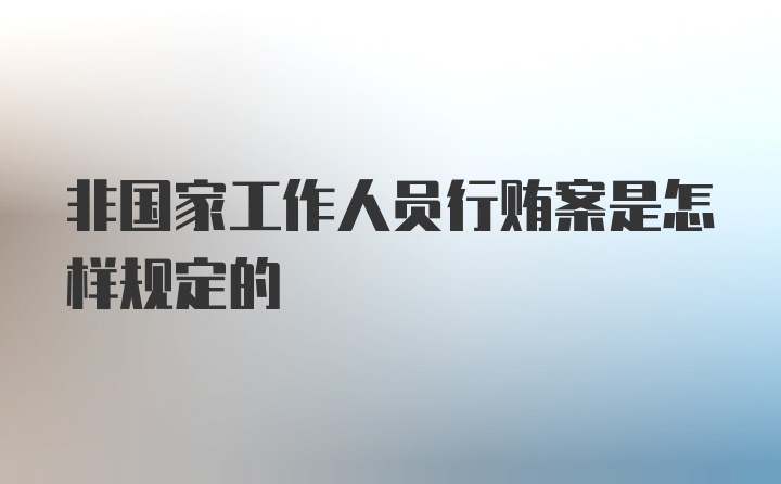 非国家工作人员行贿案是怎样规定的