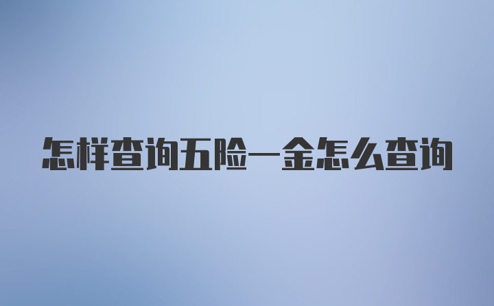 怎样查询五险一金怎么查询