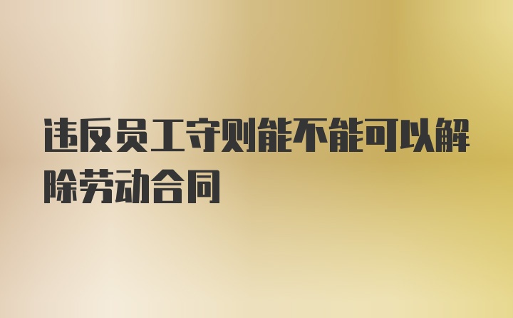 违反员工守则能不能可以解除劳动合同