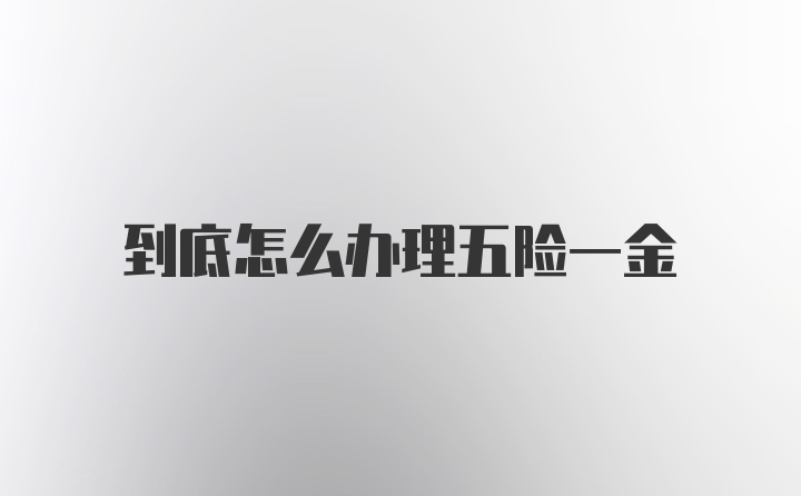 到底怎么办理五险一金