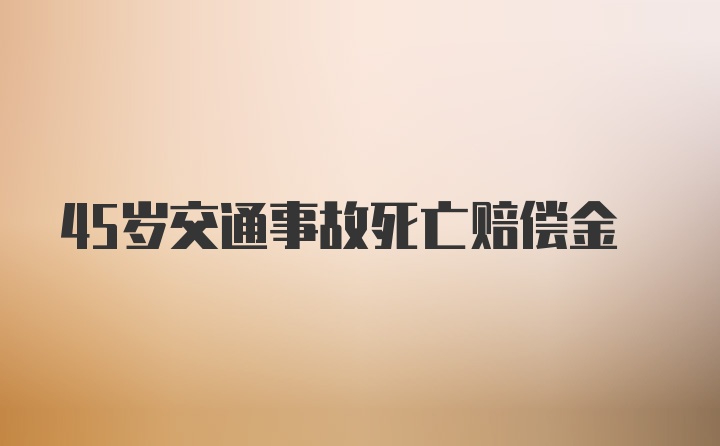 45岁交通事故死亡赔偿金