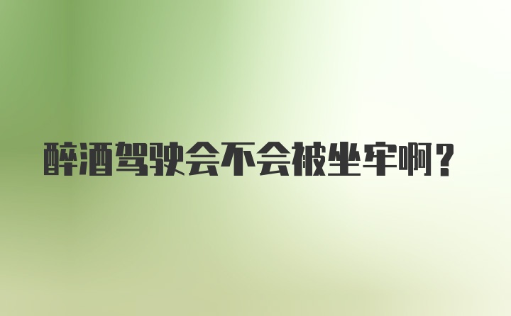 醉酒驾驶会不会被坐牢啊？