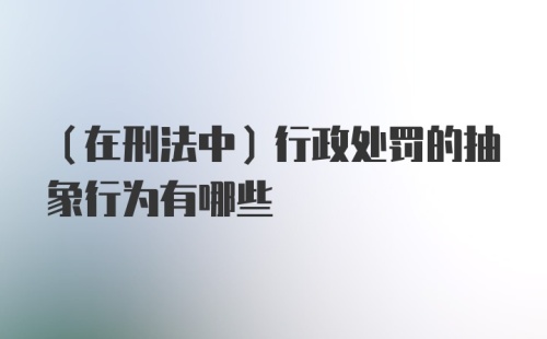 (在刑法中)行政处罚的抽象行为有哪些