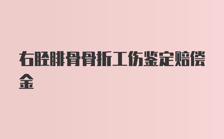 右胫腓骨骨折工伤鉴定赔偿金