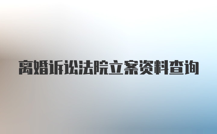 离婚诉讼法院立案资料查询