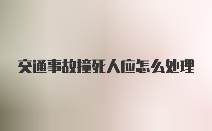 交通事故撞死人应怎么处理