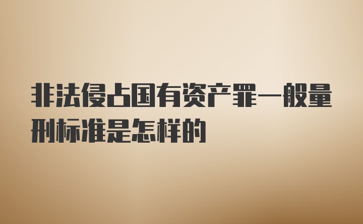 非法侵占国有资产罪一般量刑标准是怎样的