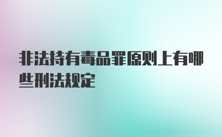 非法持有毒品罪原则上有哪些刑法规定