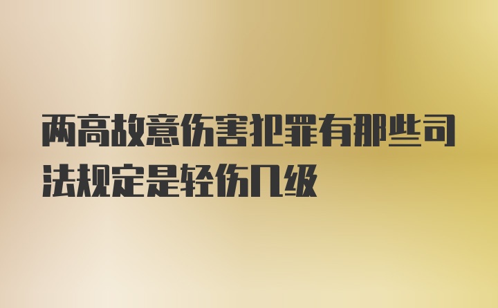 两高故意伤害犯罪有那些司法规定是轻伤几级