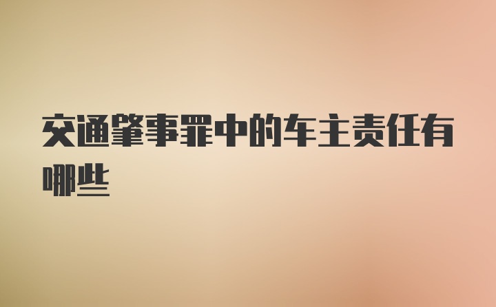 交通肇事罪中的车主责任有哪些