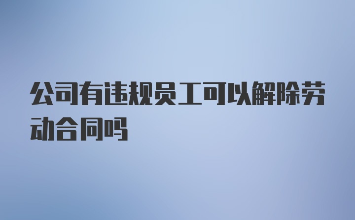 公司有违规员工可以解除劳动合同吗