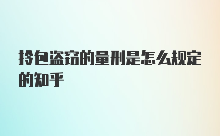 拎包盗窃的量刑是怎么规定的知乎