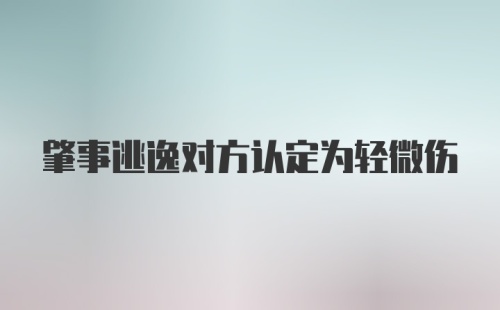 肇事逃逸对方认定为轻微伤