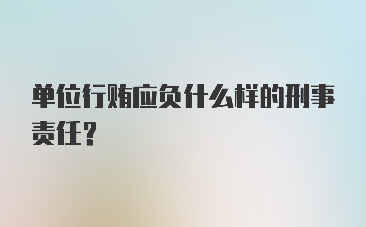 单位行贿应负什么样的刑事责任?