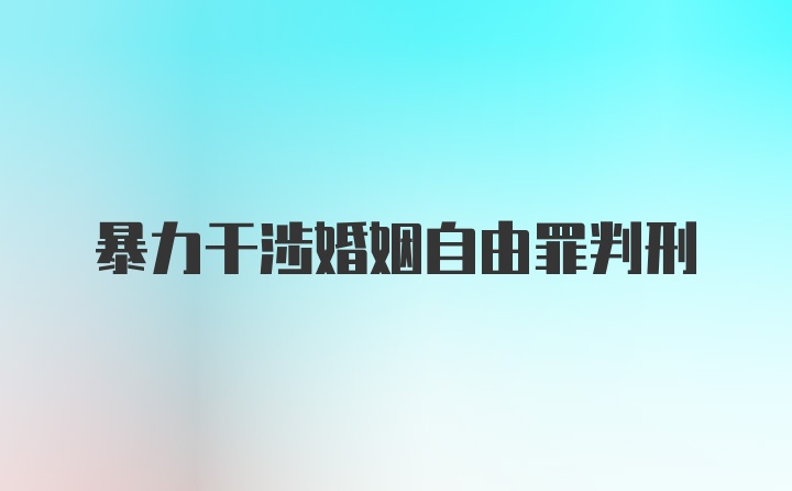 暴力干涉婚姻自由罪判刑